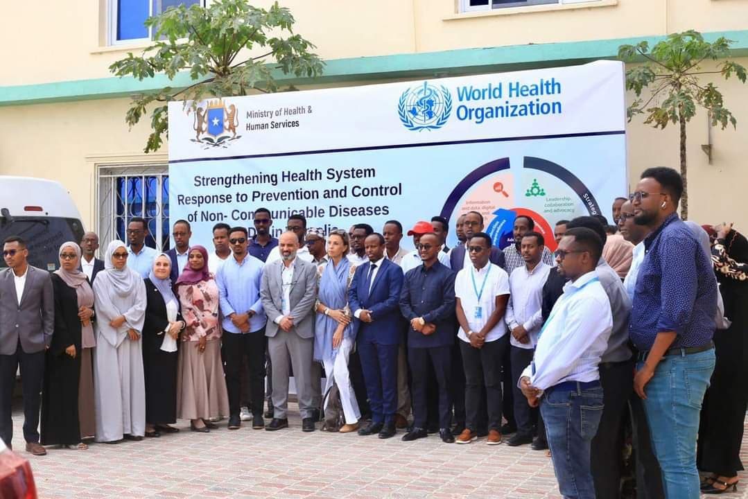Health system strengthening
